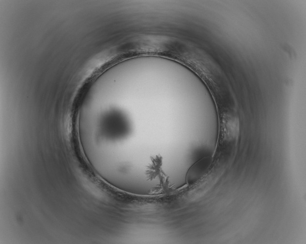 X0000113890726200910081808