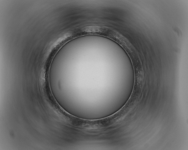 X0000113890727200910081808