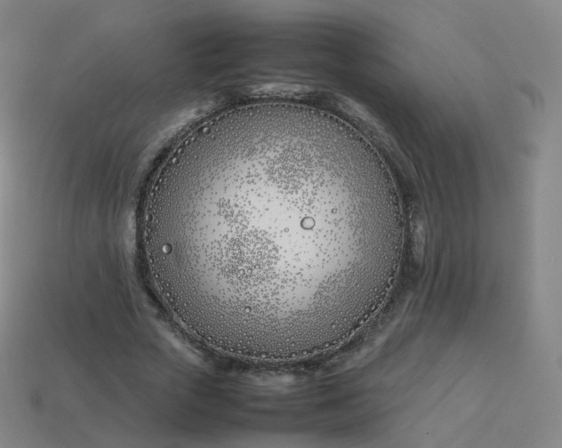 X0000113890729200910081808