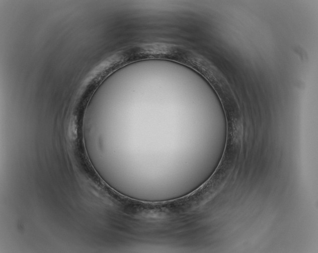 X0000113890731200910081808