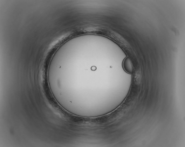 X0000113890732200910081808