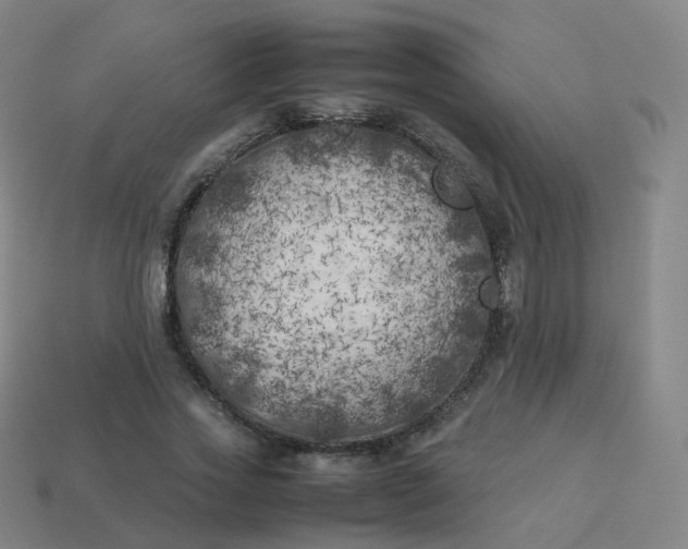 X0000113890733200910081808