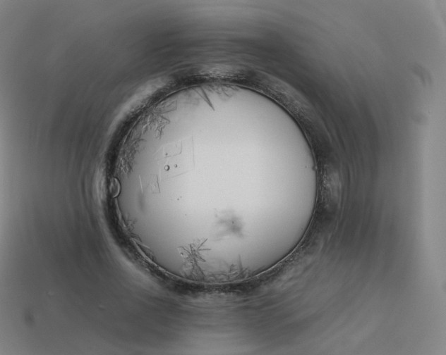 X0000113890734200910081808