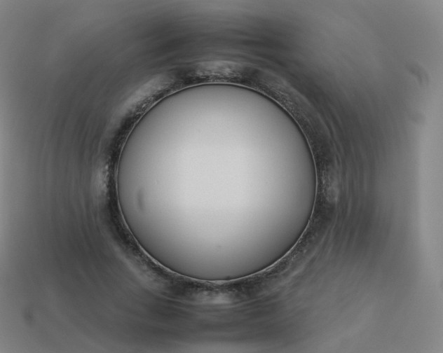 X0000113890735200910081808