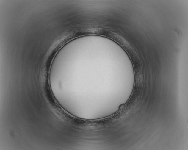 X0000113890736200910081808