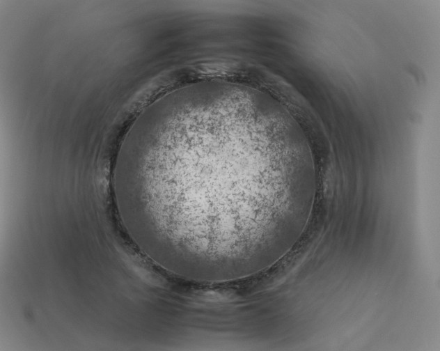 X0000113890737200910081808