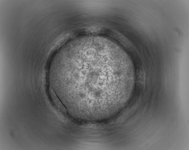 X0000113890738200910081808