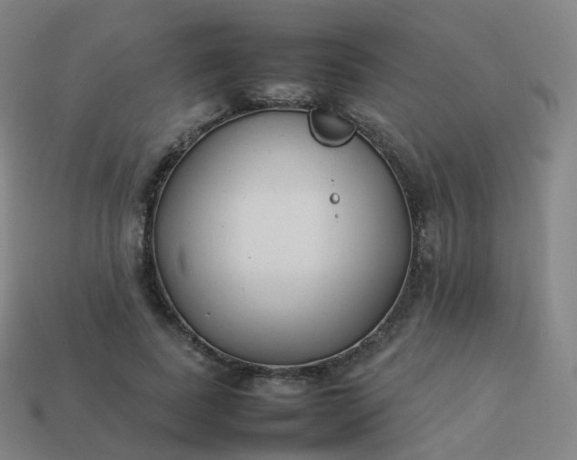 X0000113890739200910081808