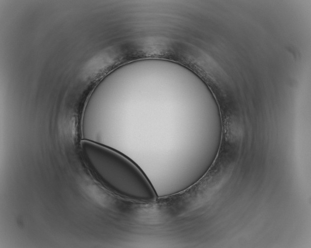 X0000113890740200910081808