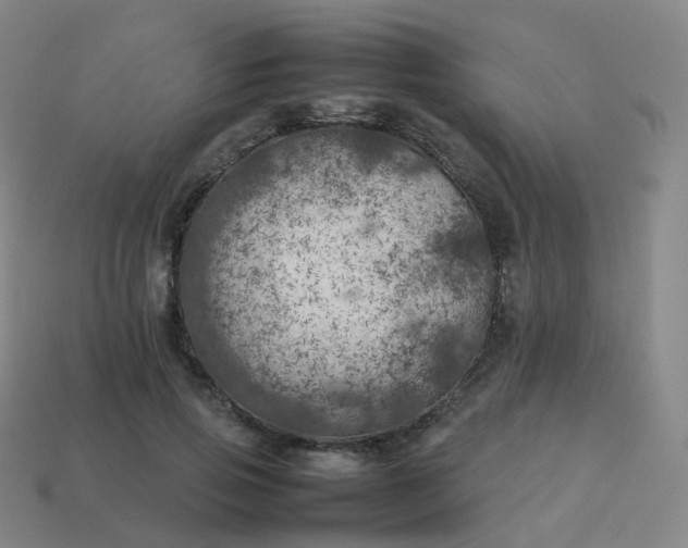 X0000113890741200910081808