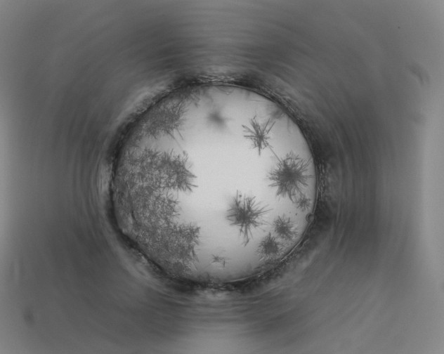 X0000113890742200910081808