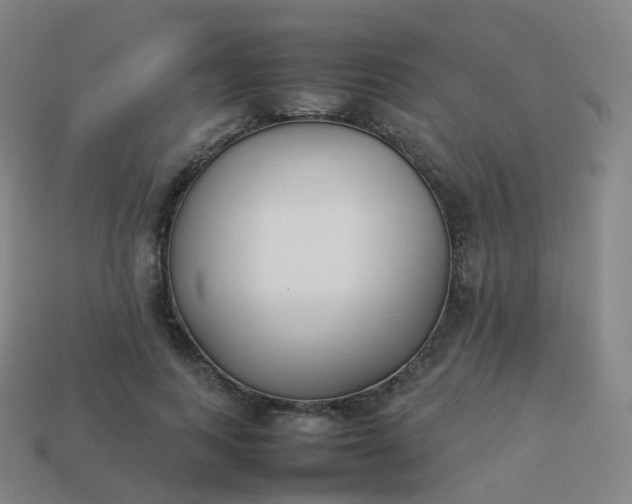 X0000113890743200910081808