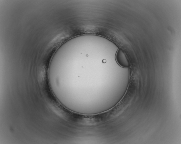 X0000113890744200910081808