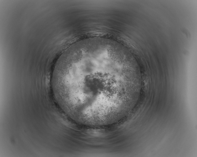 X0000113890745200910081808