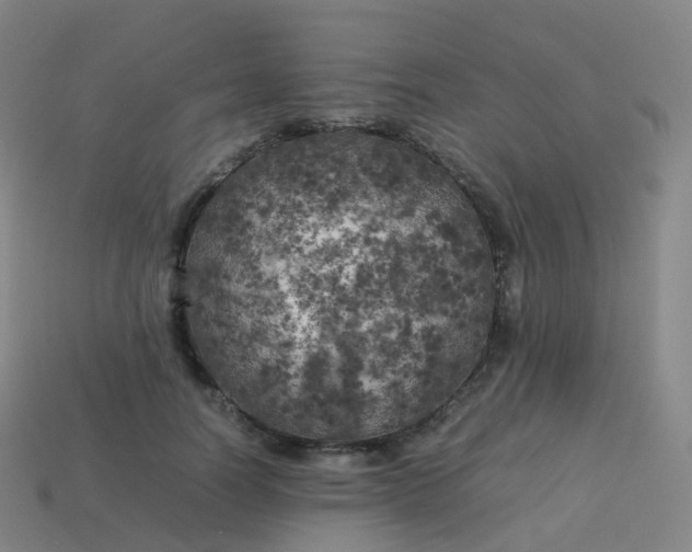 X0000113890746200910081808