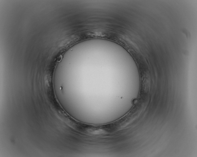 X0000113890747200910081808