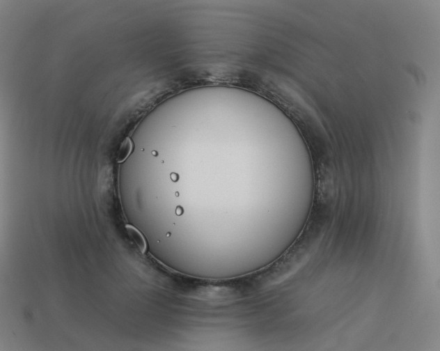 X0000113890748200910081808