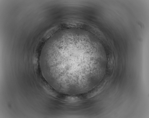 X0000113890749200910081808