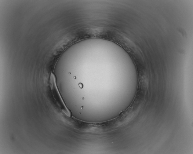 X0000113890750200910081808