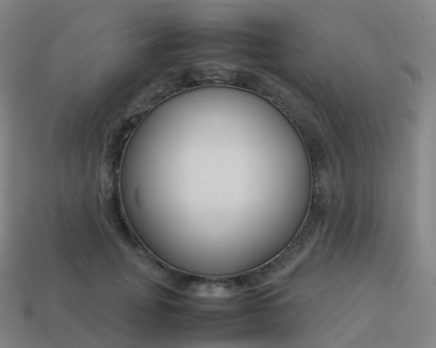 X0000113890751200910081808