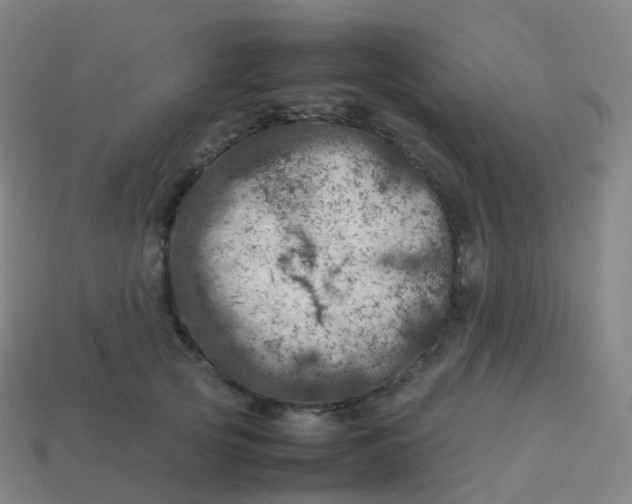 X0000113890753200910081808