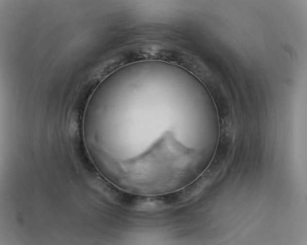 X0000113890754200910081808