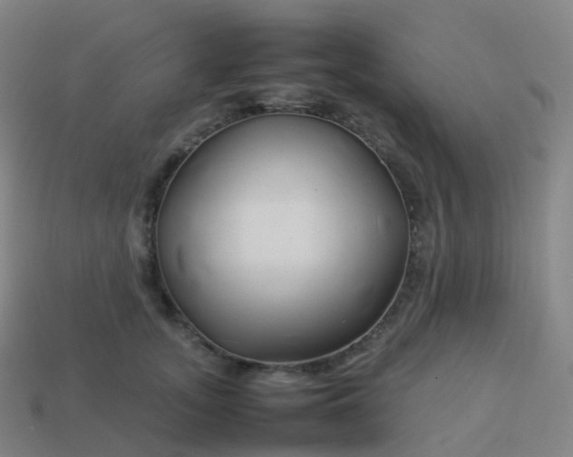 X0000113890755200910081808