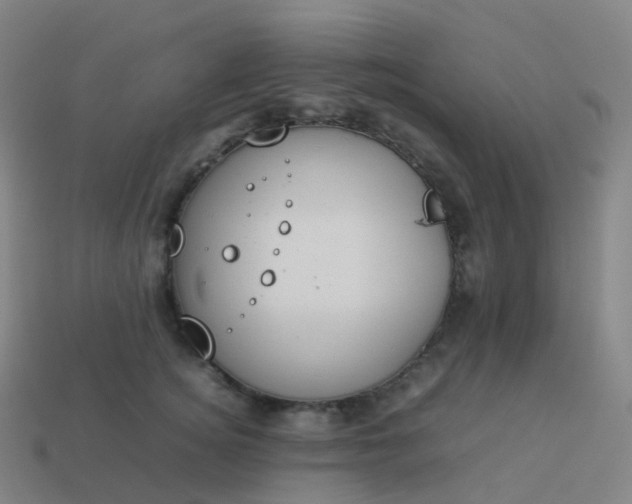 X0000113890756200910081808