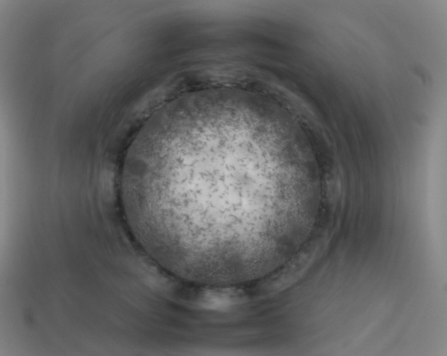 X0000113890757200910081808