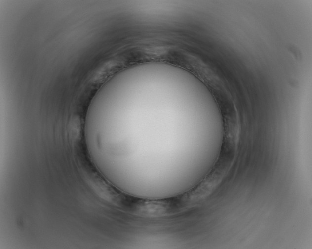 X0000113890758200910081808