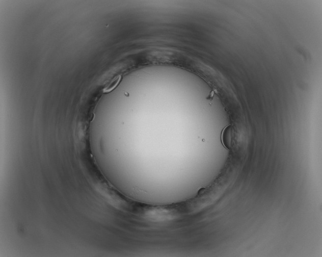 X0000113890759200910081808