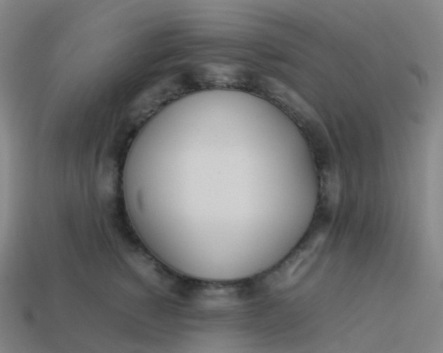 X0000113890760200910081808