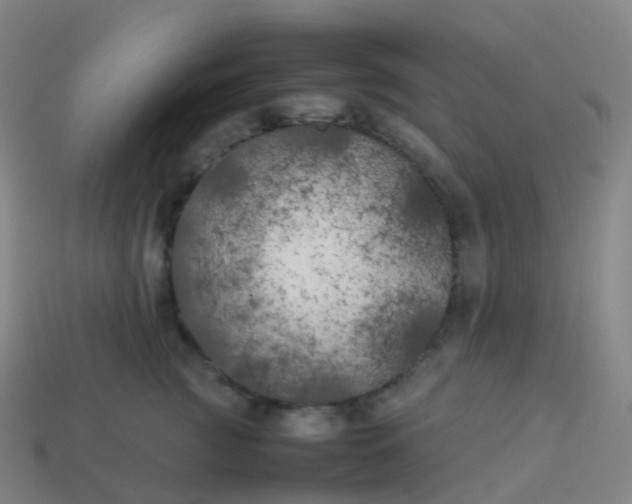 X0000113890761200910081808