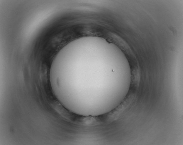 X0000113890762200910081808