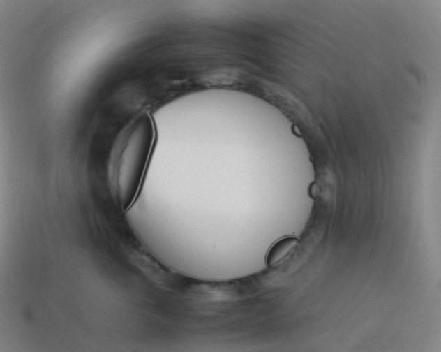 X0000113890763200910081808