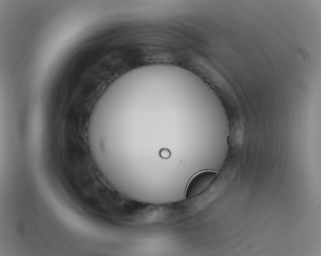 X0000113890764200910081808