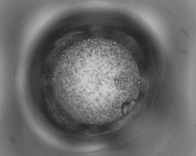 X0000113890765200910081808