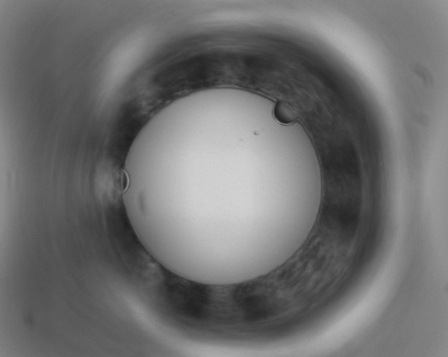 X0000113890766200910081808