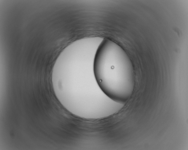 X0000113890768200910081808