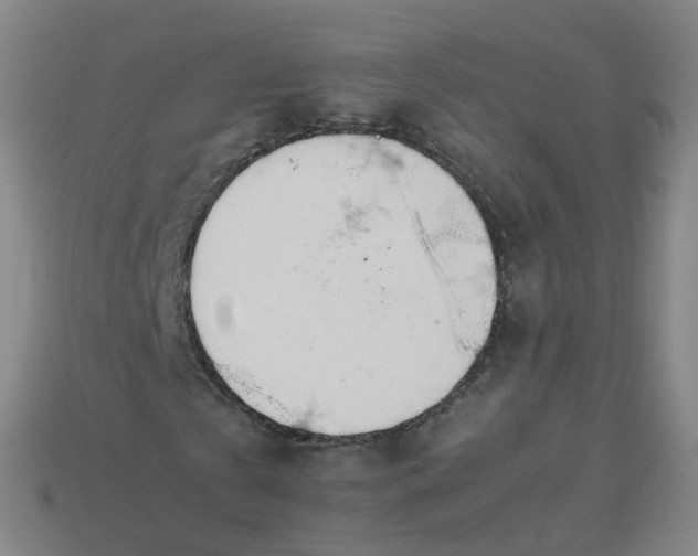 X0000113890769200910081808