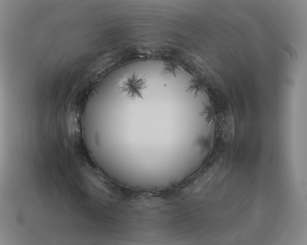 X0000113890770200910081808