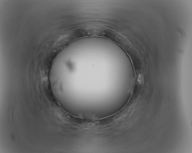 X0000113890771200910081808