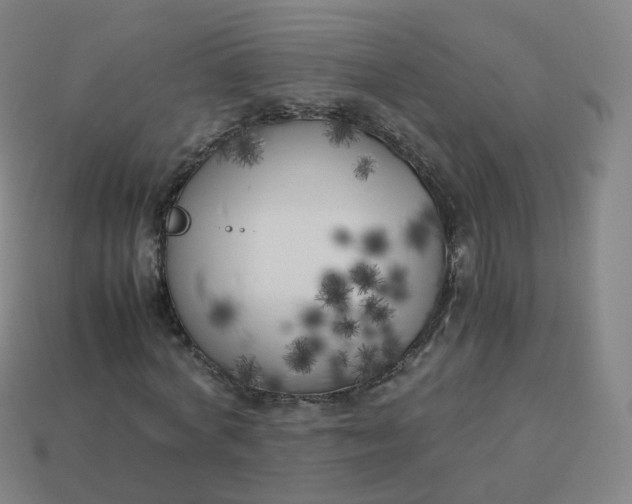 X0000113890772200910081808