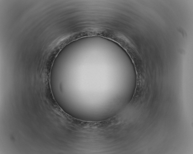 X0000113890773200910081808