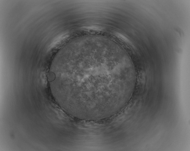 X0000113890774200910081808