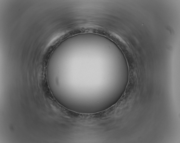 X0000113890775200910081808