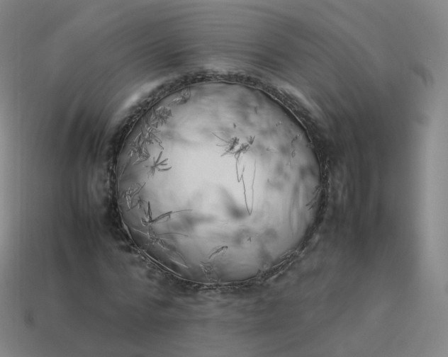 X0000113890776200910081808