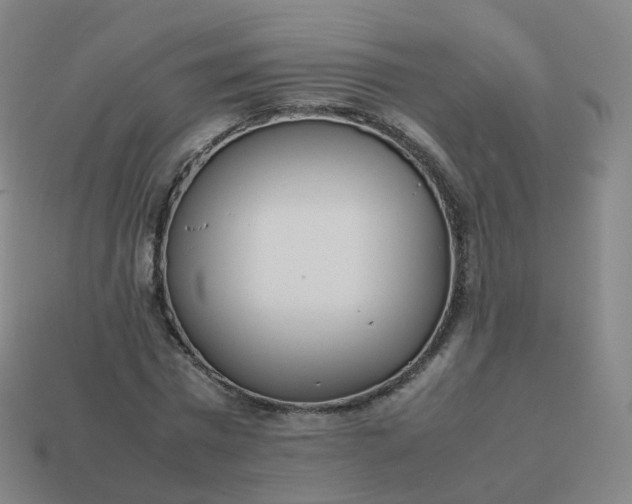 X0000113890777200910081808