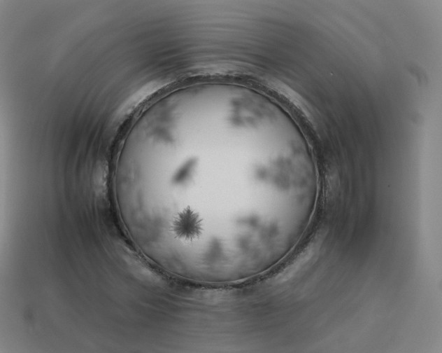 X0000113890778200910081807