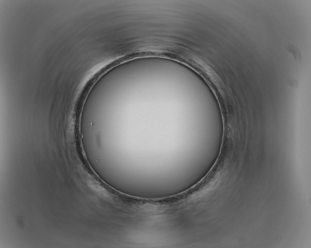 X0000113890779200910081807